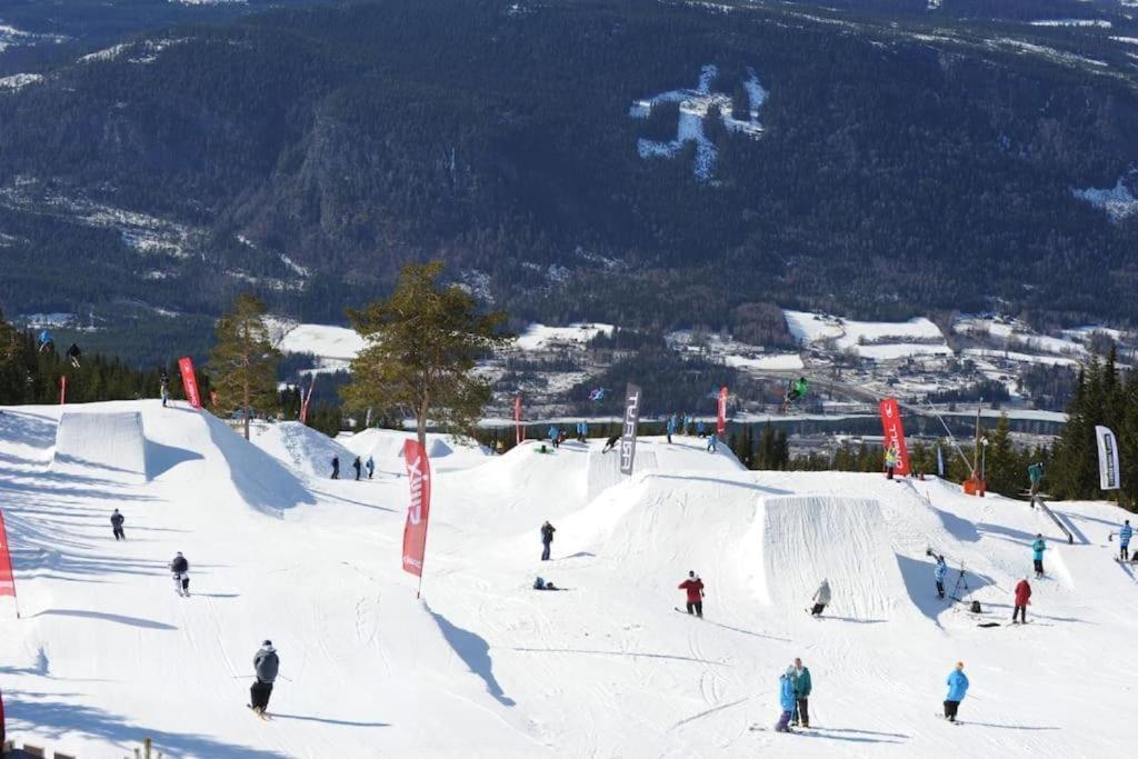 Leilighet Med Panoramautsikt Sjusjoen Innendors Parkering 外观 照片