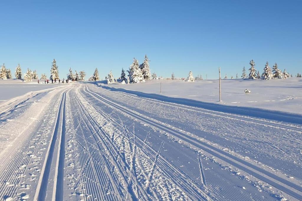 Leilighet Med Panoramautsikt Sjusjoen Innendors Parkering 外观 照片